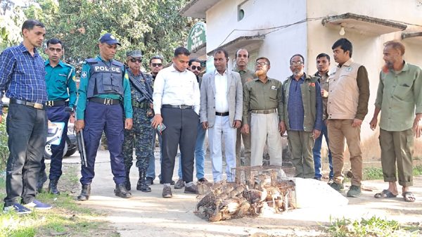 সিলেটের চন্ডিপুলে বস্তাবন্দী ৫৬টি পাখি উদ্ধারের পর আকাশে অবমুক্ত